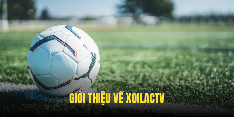 Sơ lược về kênh Xoilac